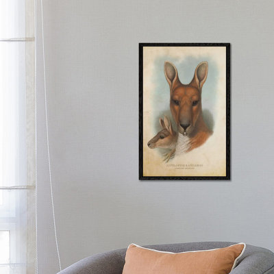 Vintage Antilopine Kangaroo by Aged Pixel - Gallery-Wrapped Canvas Giclée on Canvas