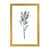 Gold Framed Paper is unavailable