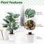 Ajala 63cm Faux Plant