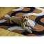 Tapis abstrait lavable intérieur / extérieur Kivett-856349452