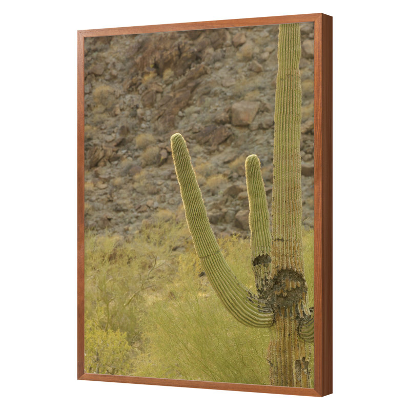 Buckeye, Arizona 3 Print by August Studios
