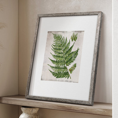 Greenhouse Fern II, reproduction encadrée - bois massif