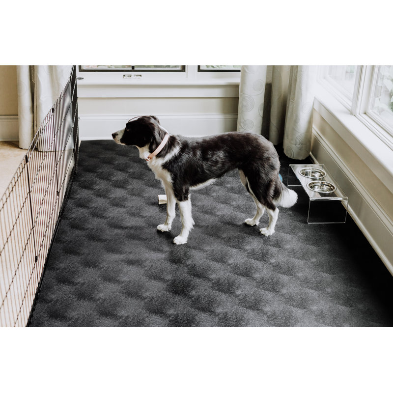 Midnight Black Vinyl Pet Floor Protector for Indoor and Outdoor Use