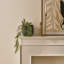 Fireplace Door