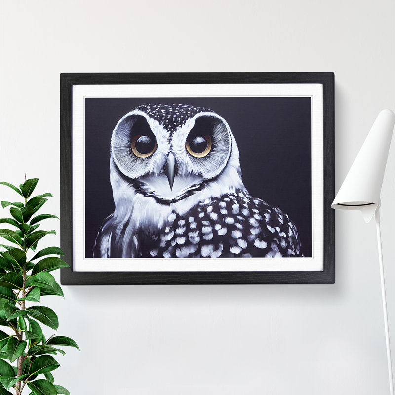 XH1022-606X An Enigmatic Owl - Single Picture Frame Painting, 34cm H x 46cm W x 2cm D, Black