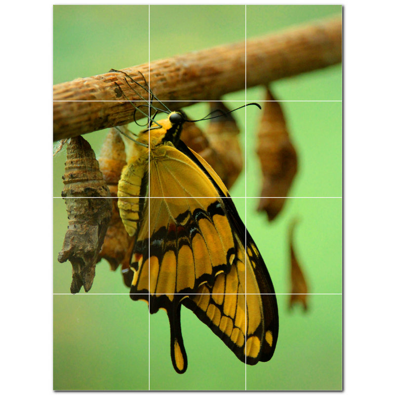 Murale décorative en céramique 8 po x 8 po Butterfly Photo