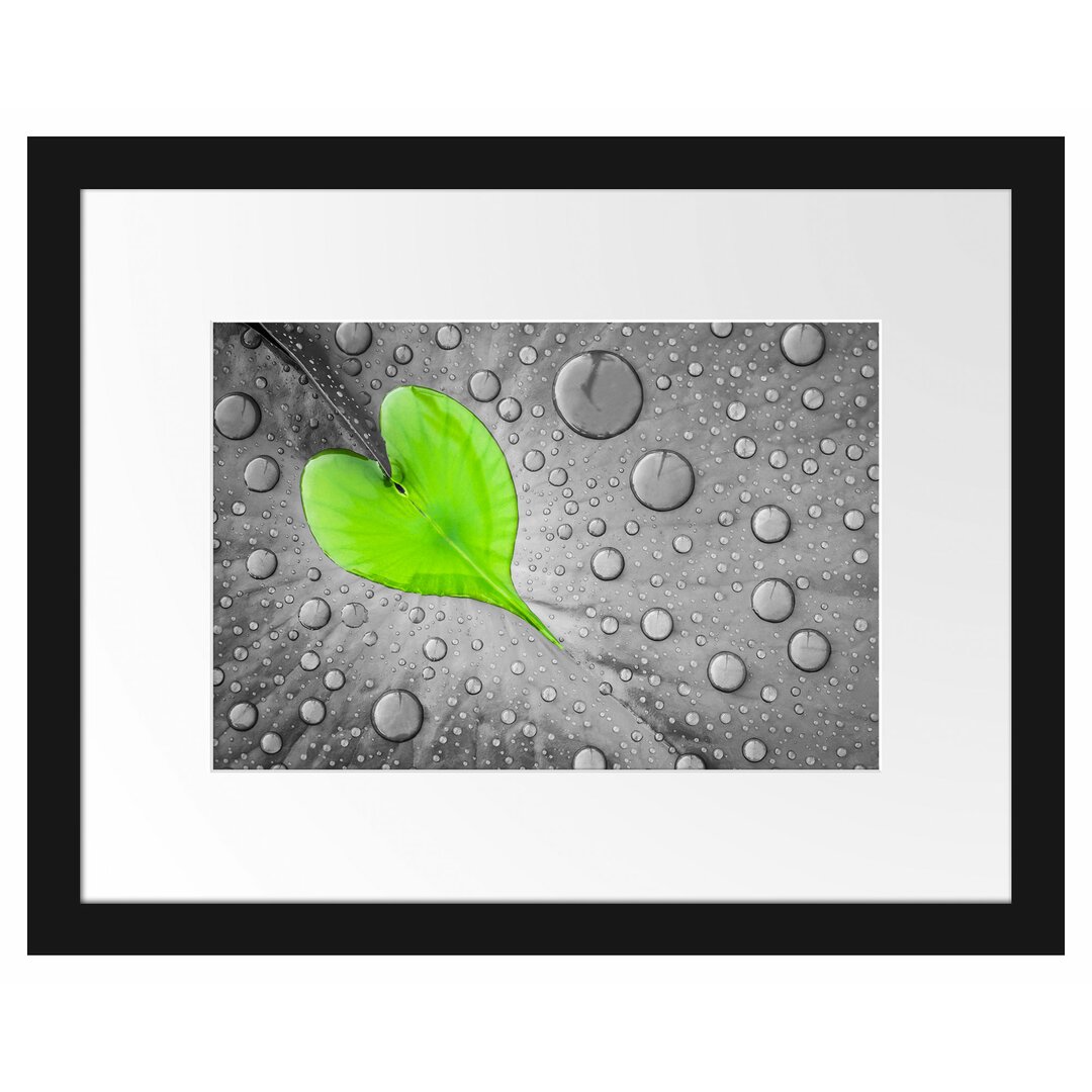 Gerahmtes Poster Dewdrop Heart