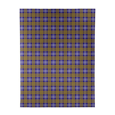 Plaid Indoor Rug