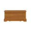 Aamna Blanket Chest-2028901121
