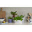 Royal Doulton, 1815 Pacific - Trough Planter