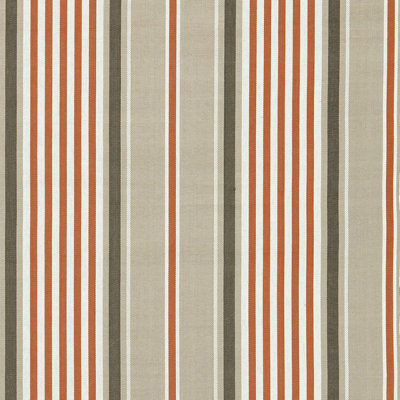 Minzer Cotton Stripe Fabric