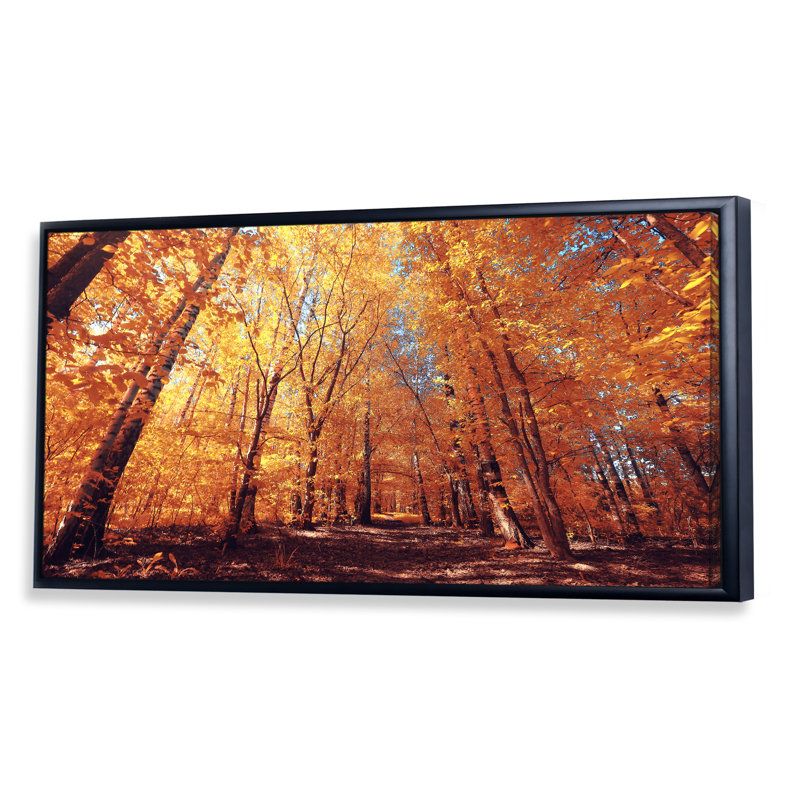Mystic Yellow Fall Forest - reproduction d'art sur toile traditionnelle, L 12 po x H 8 po, Cadre noir