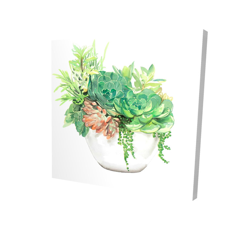 Succulent Assortment in a Pot - Toile de cactus pour la décoration intérieure