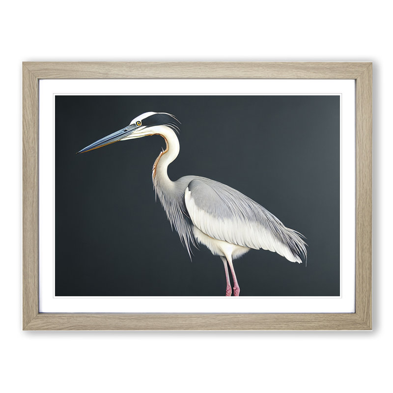 Awesome Heron Bird - Framed Print, 46cm H x 64cm W x 2cm D, Oak