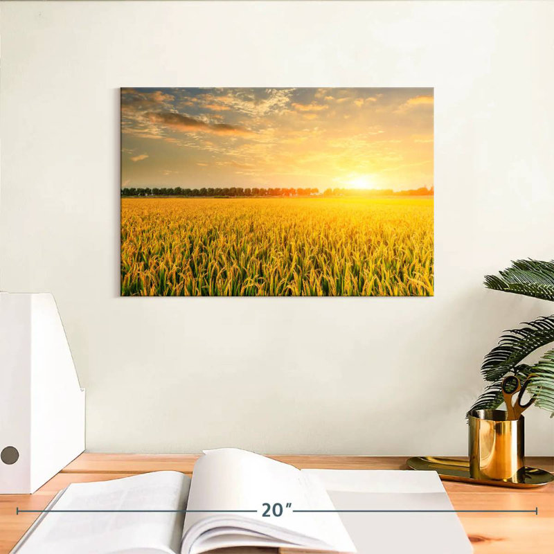 Alvord Sunset Field, H 8 po x l 12 po
