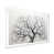 White Picture Framed