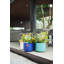 Pots de fleurs en céramique de haute qualité-777057489