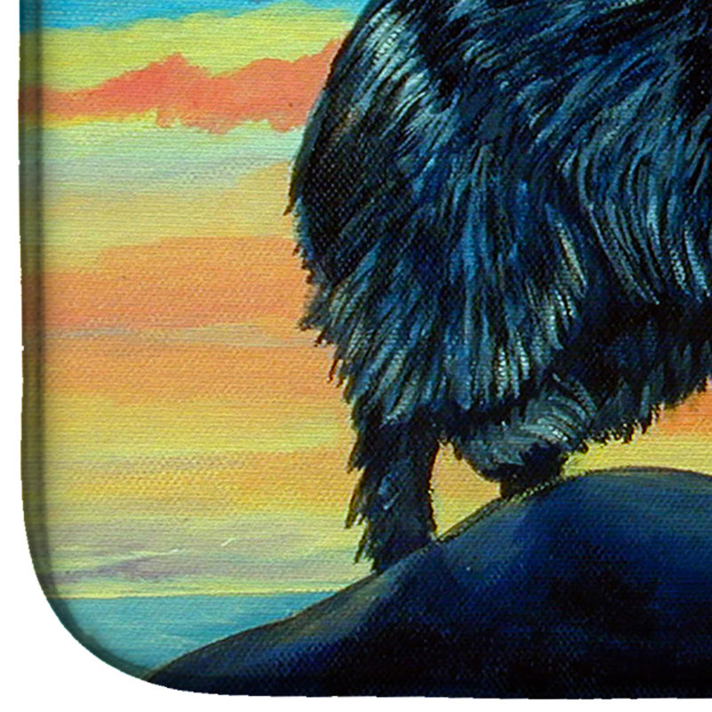 Drying Mat