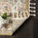 Oriental Indoor Rug