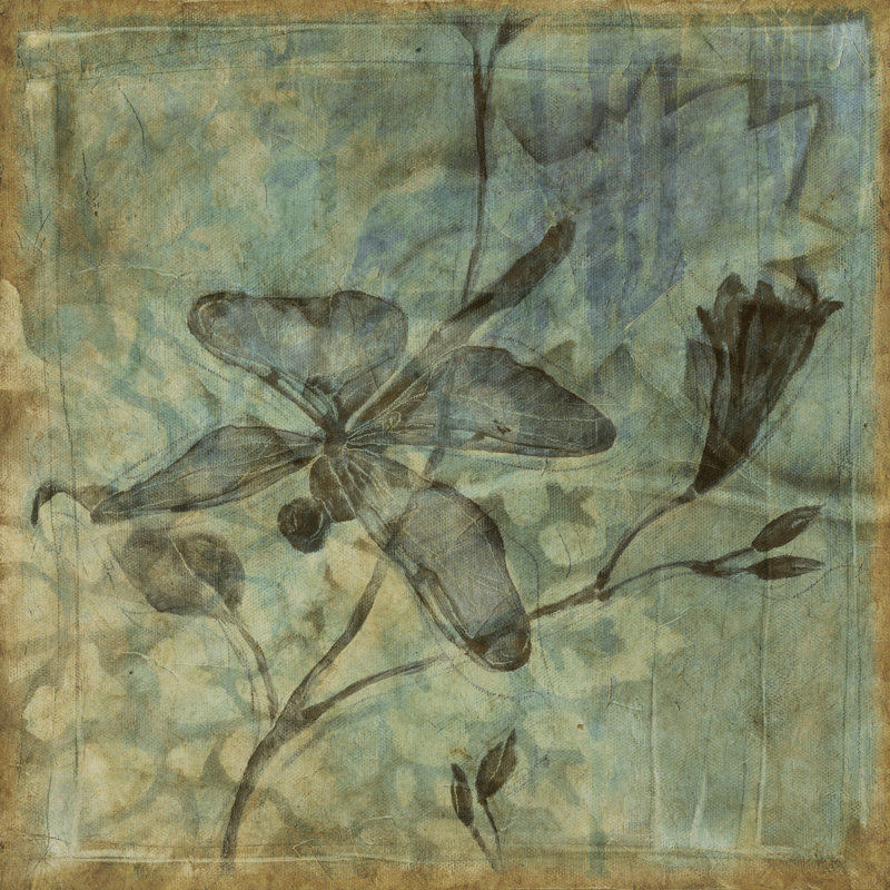 Small Ethereal Wings I by Jennifer Goldberger - Wrapped Canvas Print, 30cm H x 30cm W x 3.8cm D
