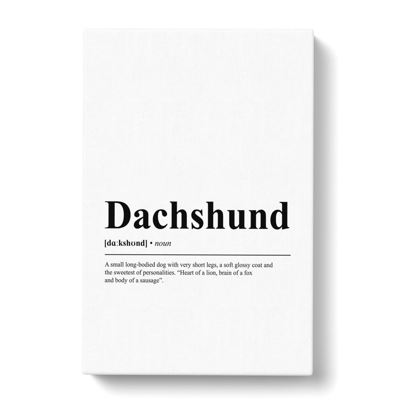 Dictionary Dachshund - Wrapped Canvas, 76cm H x 50cm W x 3cm D