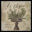 «Garden Herbs Lavender and Thym», ensemble de 2 reproductions d'impressions-27527409-27527414