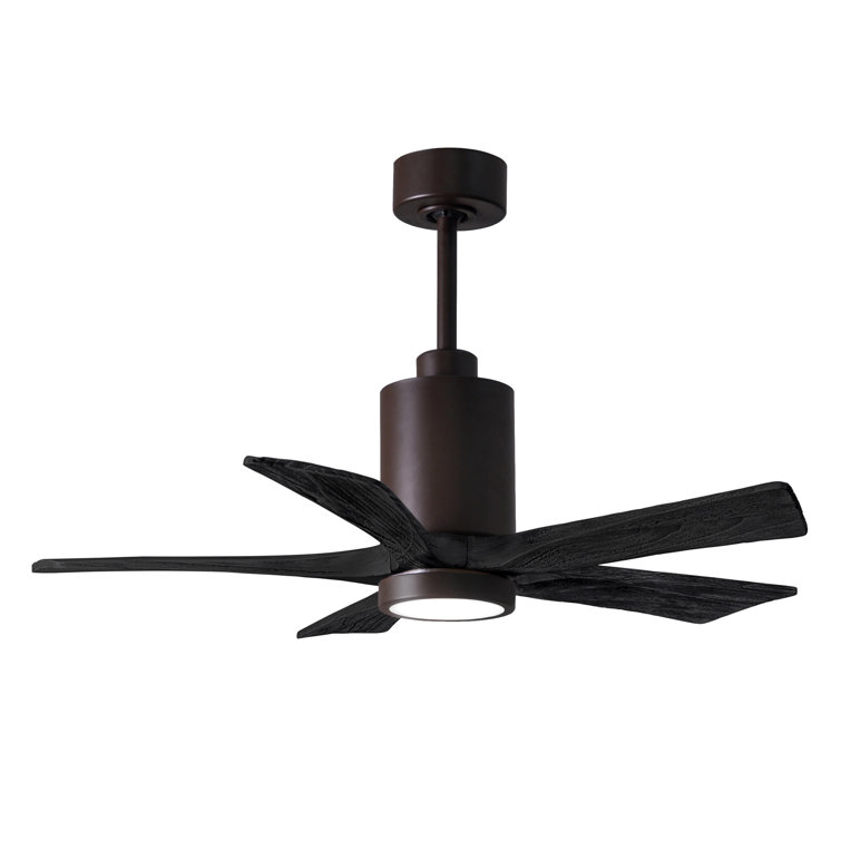 Patricia LED Ceiling Fan