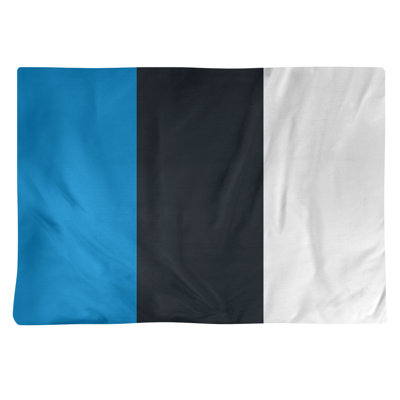 Récapitulatif 18" à rayures de football Carolina