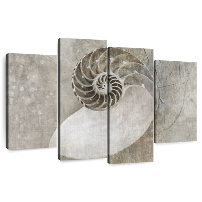Aletra Spiral Seashell