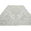 Tapis oriental vintage délavé à la main 7 x 10 Deyjah