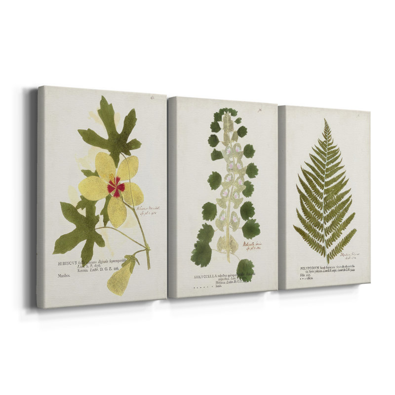 Nature imprimé Botanicals - toile tendue sur mesure - 3 pièces, H 12 po x l 24 po