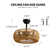 Erilynn 20'' Boho Caged Ceiling Fan with Light Kit and Remote Control Included