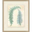 Spring Ferns 3 Painting
