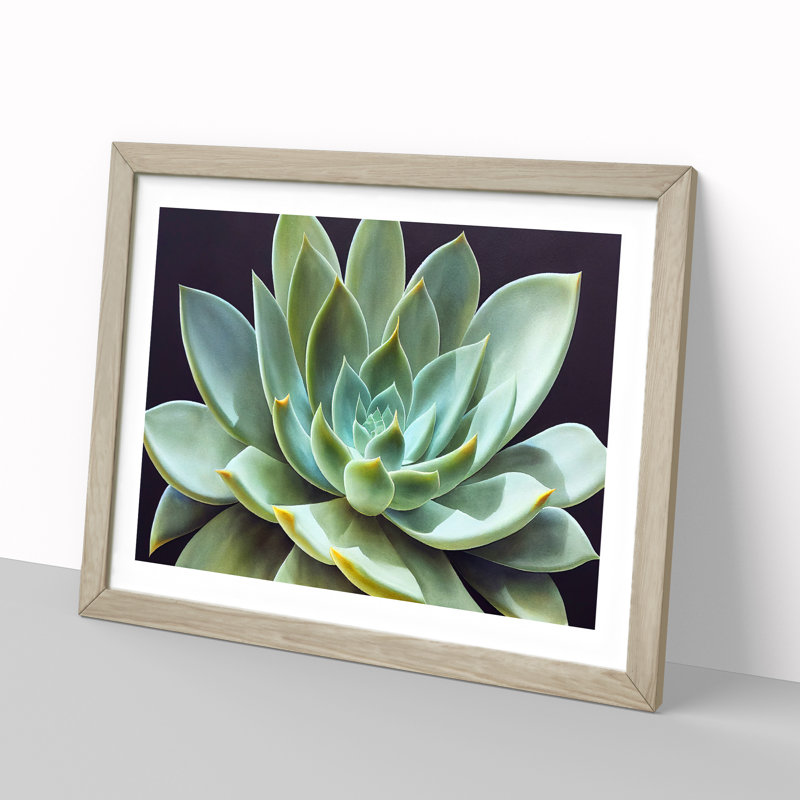 Watercolour Succulent Plant Vol.5 - Single Picture Frame Print, Light Grey/Brown, 46cm H x 64cm W