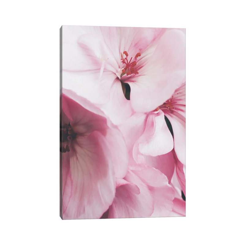 Fleurs roses - reproduction de photo, H 18 po x l 12 po x 1,5 po, Toile tendue, Pas de tapis