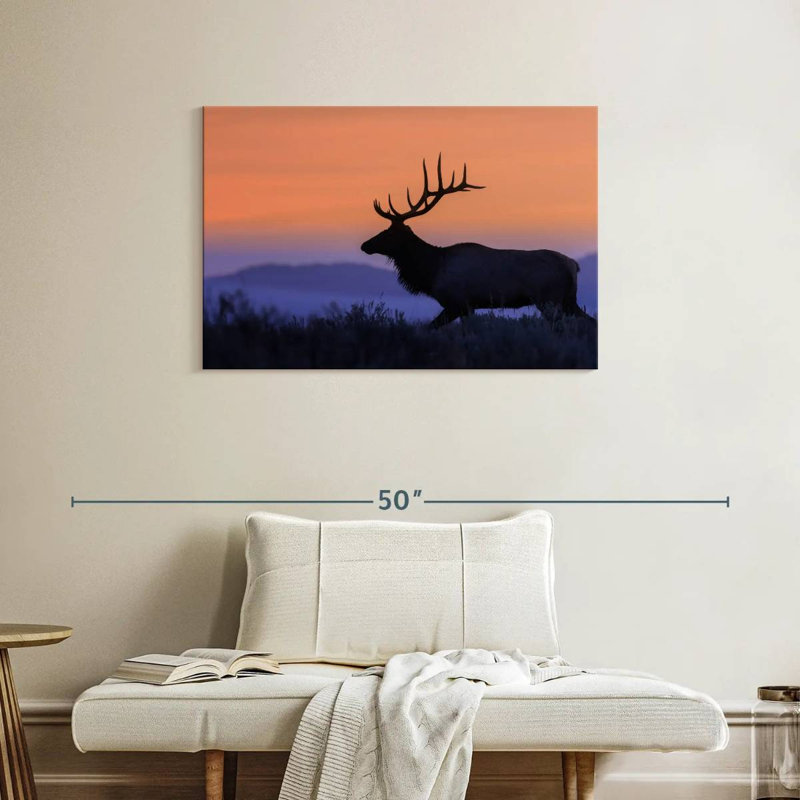 Wapiti brulé contre le coucher du soleil, H 24 po x l 36 po
