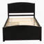 Platform Bed with Two Drawers-1569338251
