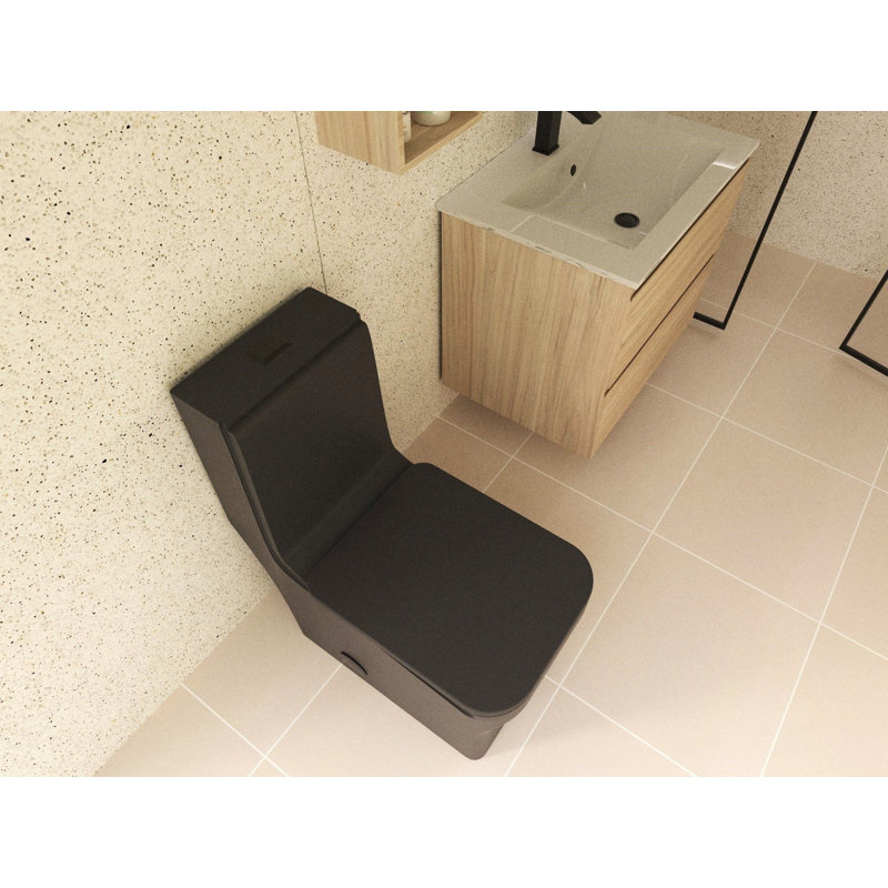 Toilette DAX avec siège à fermeture douce et double chasse haute efficacité, noir mat