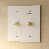 White with Brass - 2 Gang est en rupture de stock