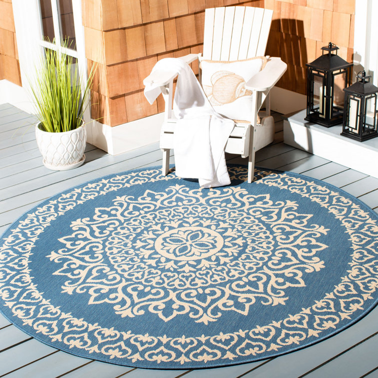 Ryleigh Performance Oriental Indoor/Outdoor Area Rug