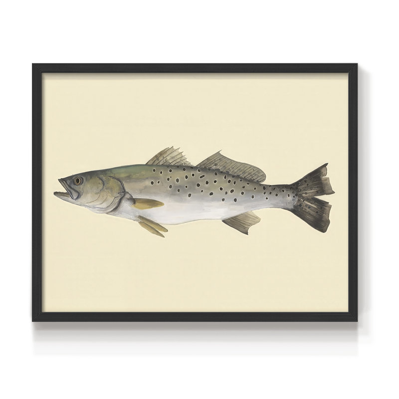 Saltwater Species II -Framed Print - Restickable, H 22 po x l 28 po, Noir, noir, noir, noir