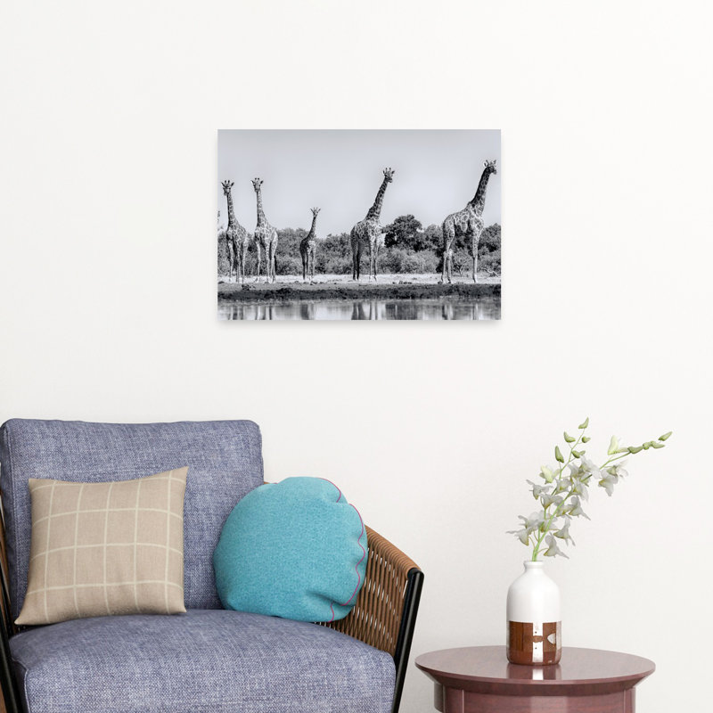 Print, 40.64cm H x 60.96cm W
