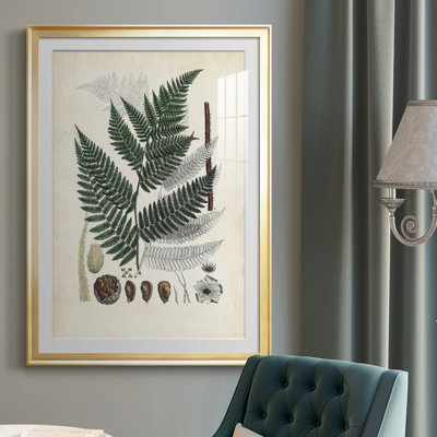 Collection Ferns IV - reproduction de cadre photo
