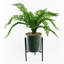40cm Faux Plant in Ceramic Pot