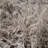 Petrey Indoor Rug-310569117