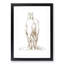 Rear of a Horse by Jean Bernard - Picture Frame Drawing Print-55598059-55598062
