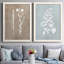 «Botany Beauty III», reproduction de cadre photo sur toile 2 pièces-534483584-534483585
