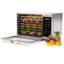 Four à convection de comptoir 120 volts 730 watts