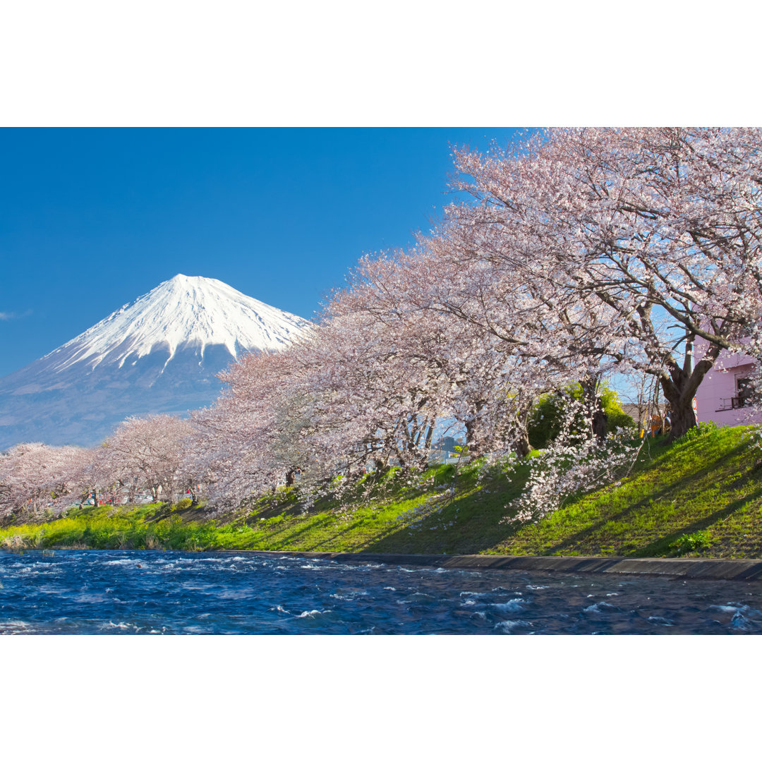 Leinwandbild Mountain Fuji