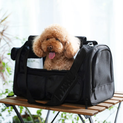 Pet Carrier